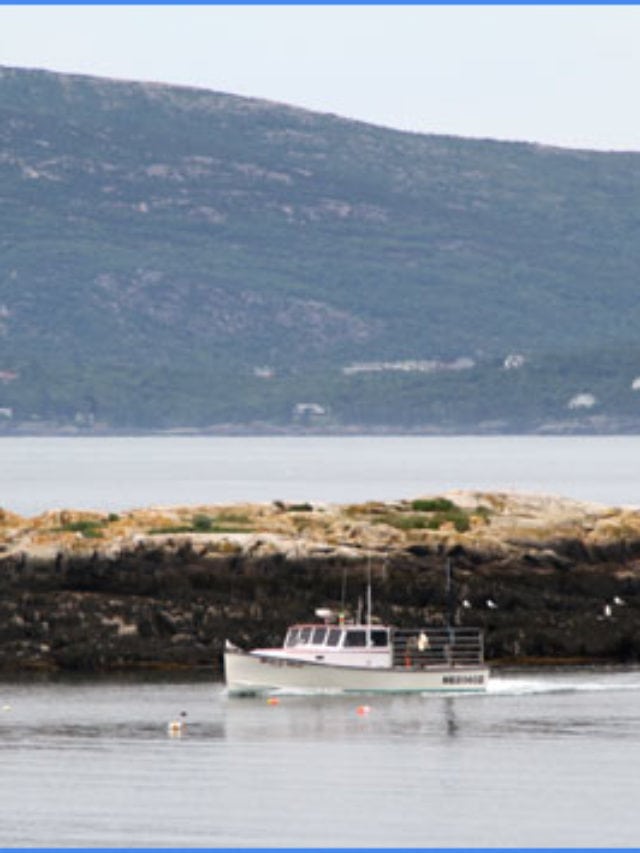 5 Unique Places to Explore in Ogunquit Maine This Year