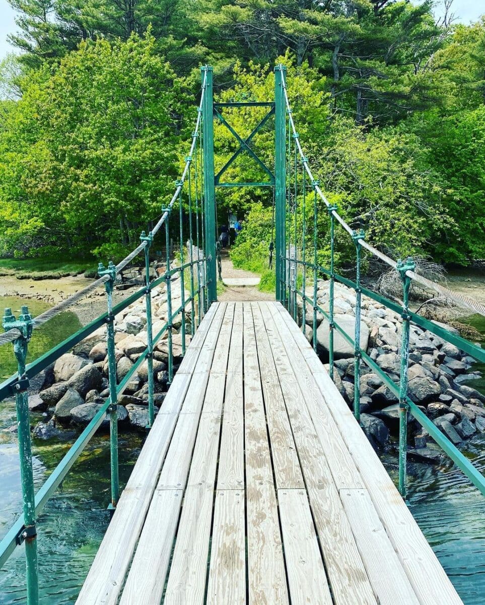 Steedman Woods Wiggly Bridge-York