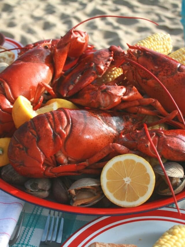best Southern Maine Coast restaurants